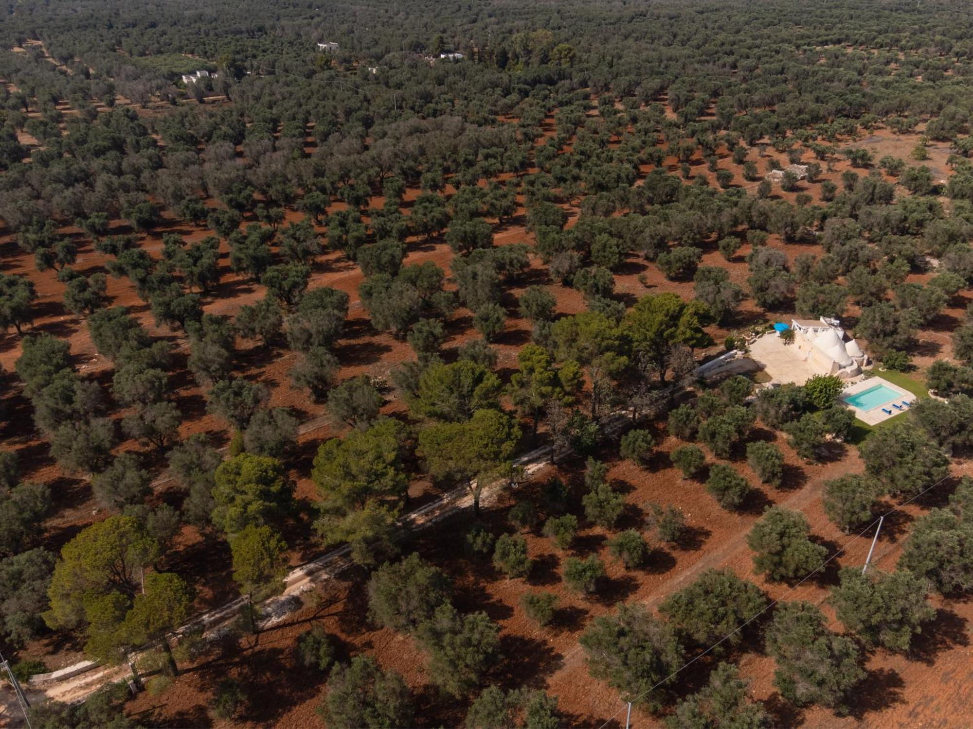 شقة Trullo Tarantini Con Piscina Privata Latiano المظهر الخارجي الصورة
